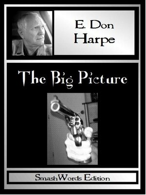 cover image of The Big Picture